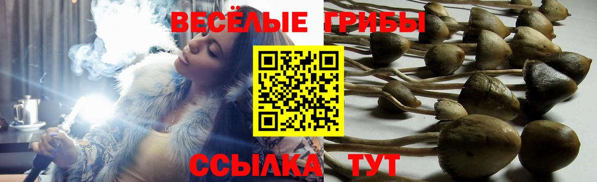 Алатырь  Псилоцибиновые грибы GOLDEN TEACHER  Вход с VPN 